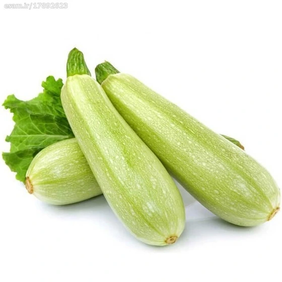 کدو درجه 1