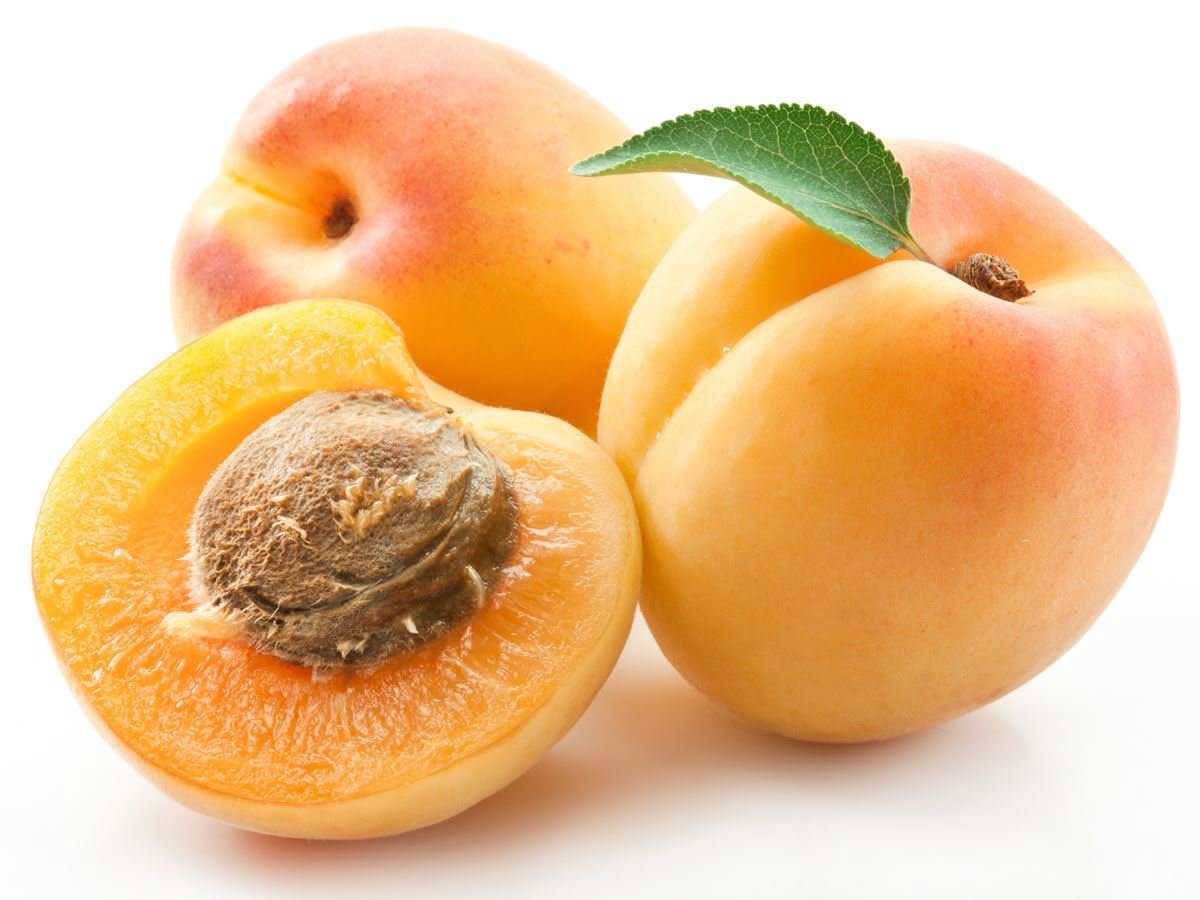 کرفس 1